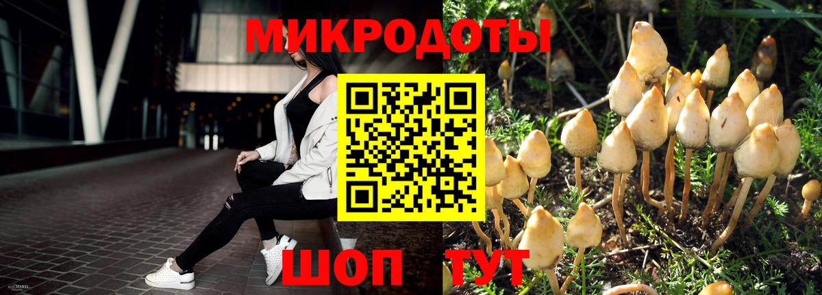 Галлюциногенные грибы Magic Shrooms  Вход с VPN  Пенза 